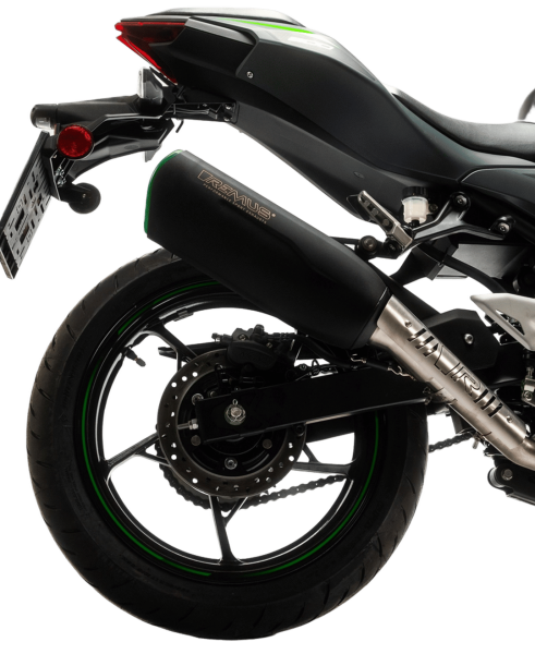 Kawasaki Ninja 500 / Z500