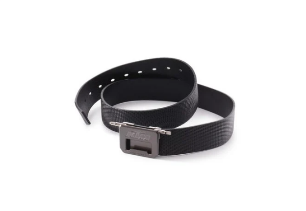 TOOL BELT